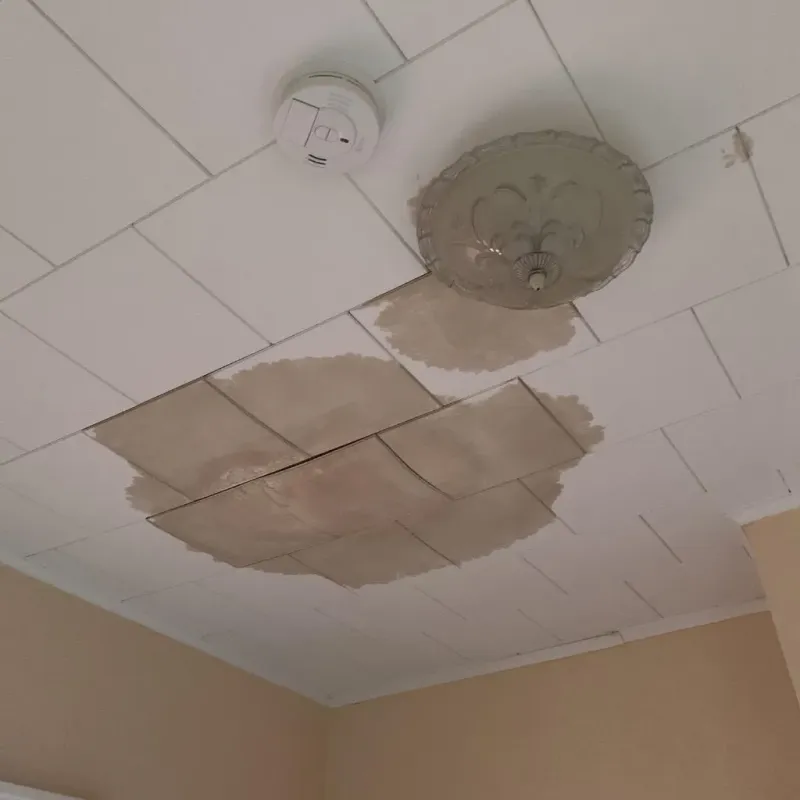 Ceiling Water Damage Repair in Wanamassa, NJ